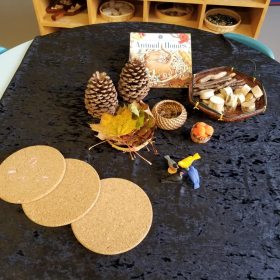 indoor-Activity-gallery-image-14