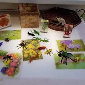 indoor-Activity-gallery-image-2