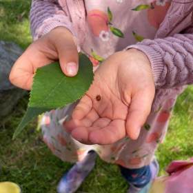 Outdoor-Activity-image-2