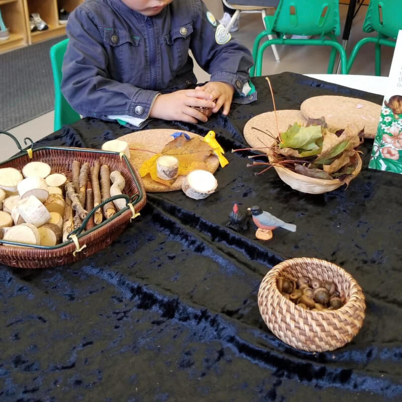 Pre Schoolers Innre Image 2